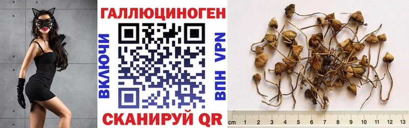 Псилоцибиновые грибы Magic Shrooms Видное